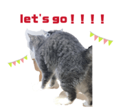 862867450