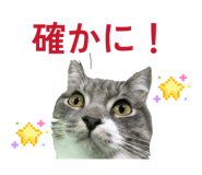 862867451