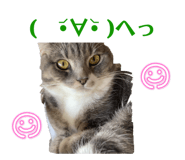862867452