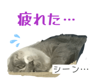 862867453