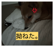 862867761
