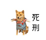 862867765