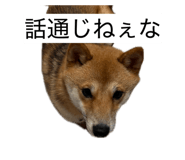 862867767