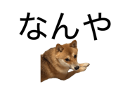 862867768