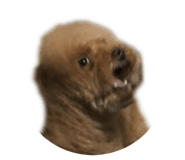 862868003