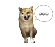 862868051