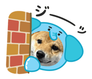 862868055