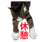 862868226