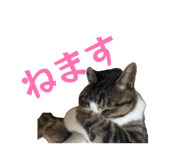 862868248