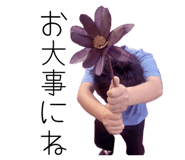 862868935
