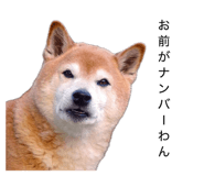 862883356