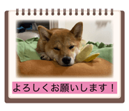 862884536