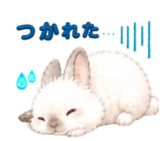 862885135