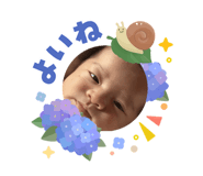 862885473