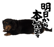 862885801