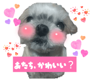 862886741