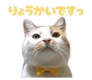 862887665
