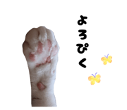 862887673