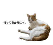 862887680