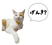 862887683