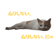 862887692