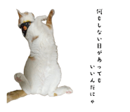 862887696