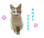 862887697