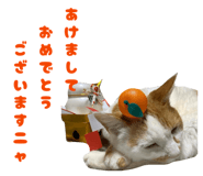 862887704