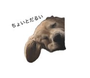 862887946