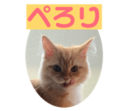 862889177