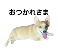 862889447
