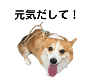 862889448