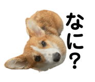 862889453