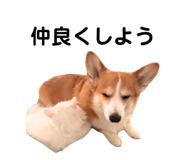 862889461