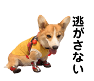 862889463