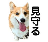 862889465