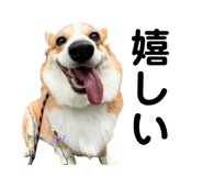 862889466