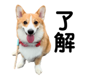862889467