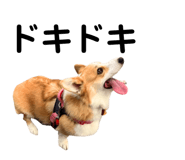 862889468