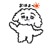 862890656