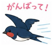 862891698