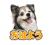 862893129