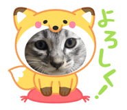 862894088