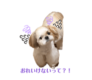 862894900