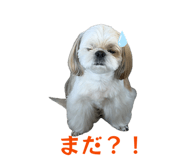 862894902