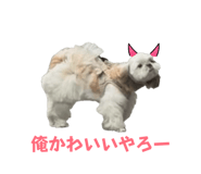 862894903