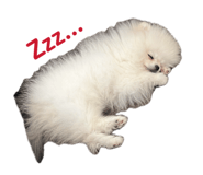 862896716