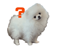 862896721