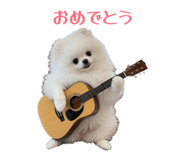 862896726