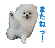862896728